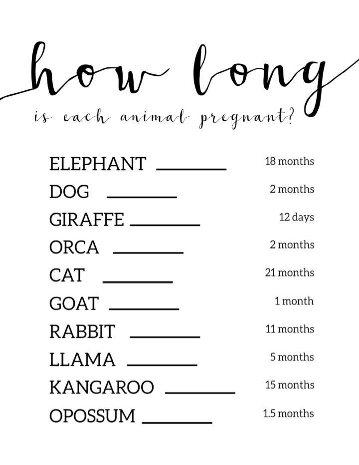 20 Free Baby Shower Game Printables Blitsy