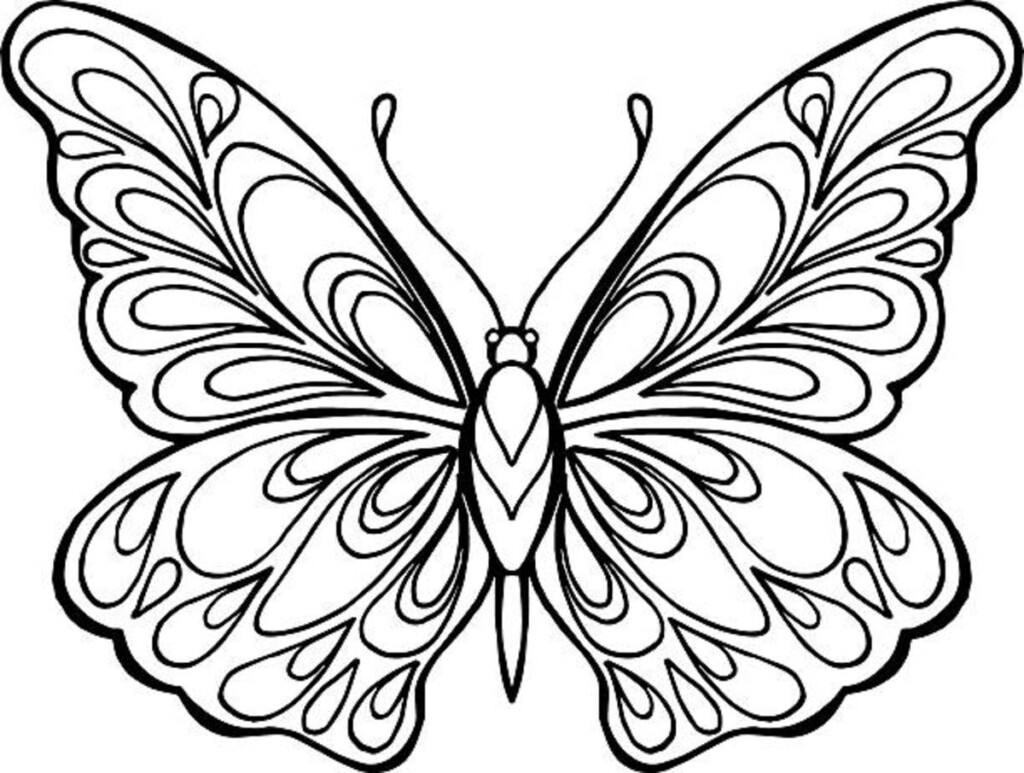 25 Free Printable Butterfly Coloring Pages Parade