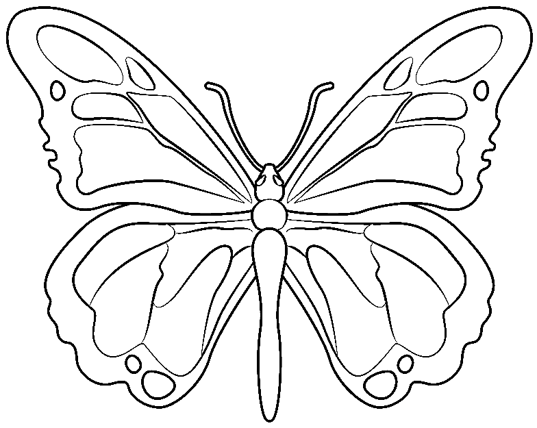Butterfly Printable Free Coloring Page Free Printable Coloring Pages