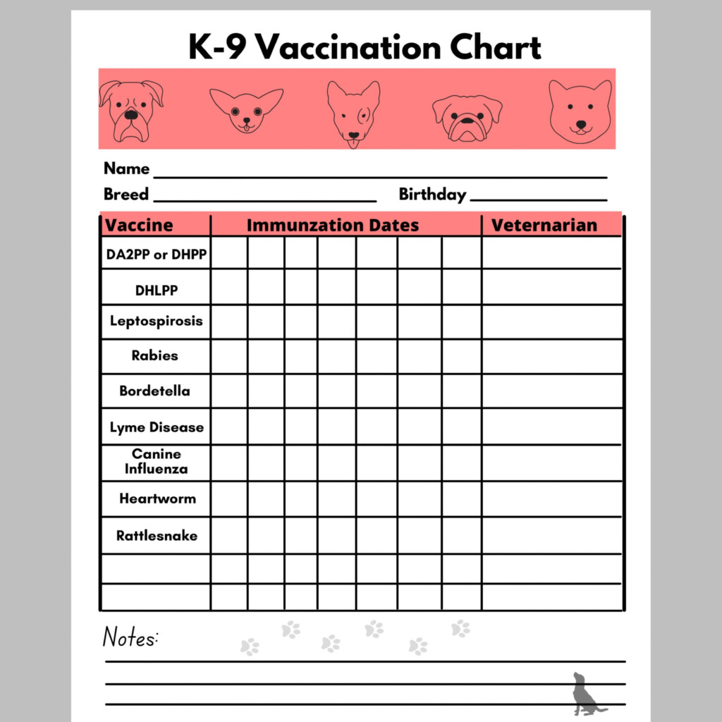Dog Vaccination Record Printable Pdf Free