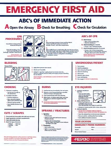 Free Basic First Aid Pocket Guide Printable Red Cross 