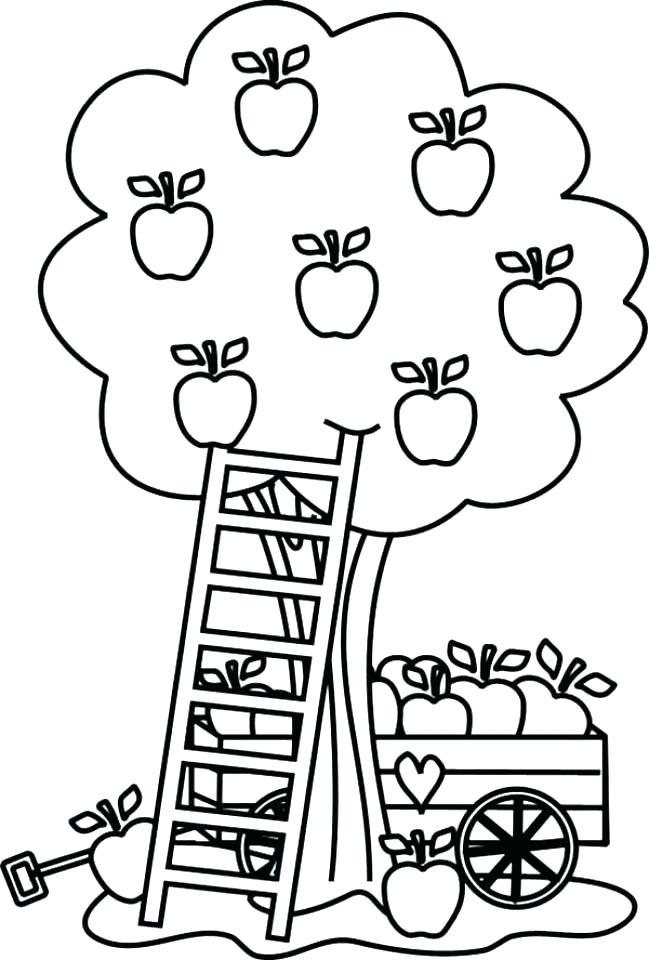 Free Printable Apple Coloring Pages At GetColorings Free 