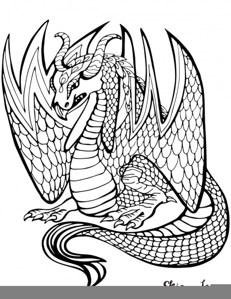 Free Printable Dragon Coloring Pages FREE Printable HQ