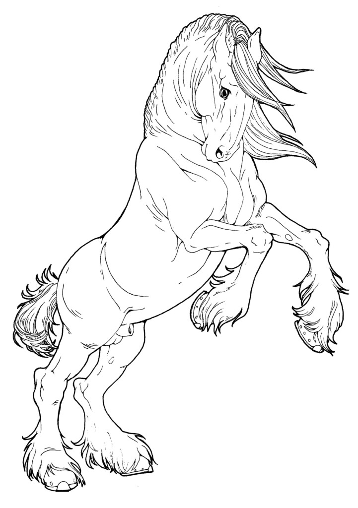 Printable Coloring Pages Horses