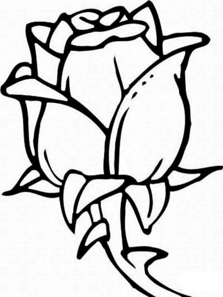 Rose Coloring Pages