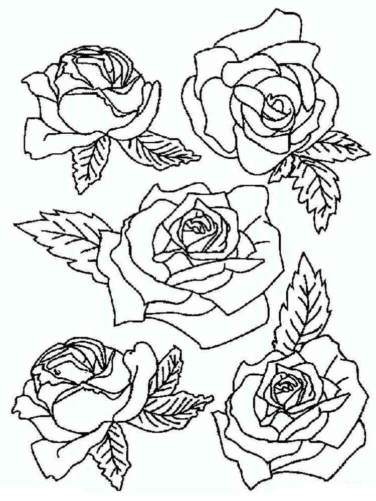 Rose Coloring Pages
