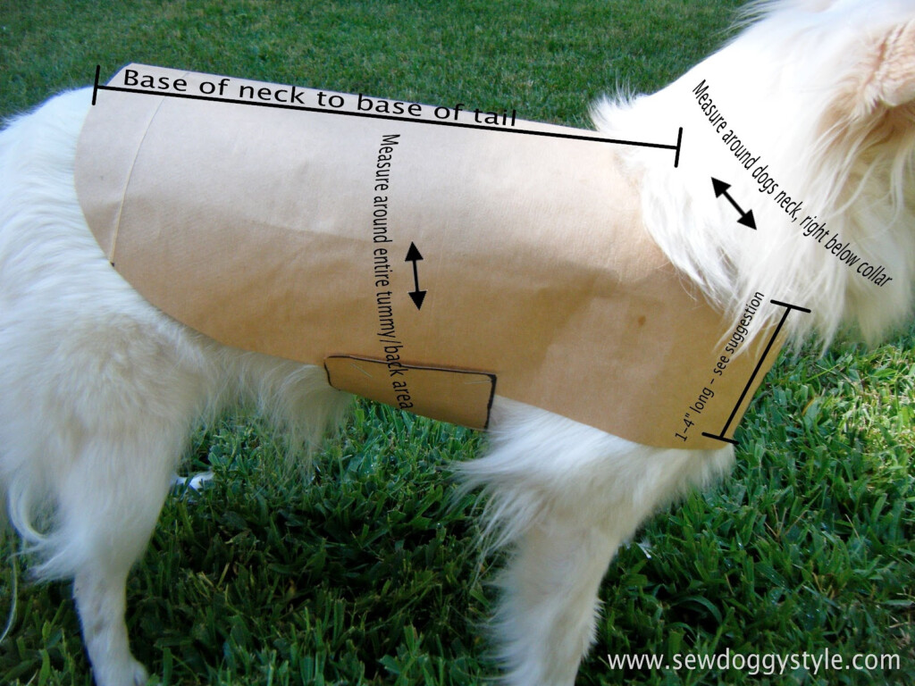 Sew Doggystyle Diy Pet Coat Pattern Free Printable Dog Coat Sewing 