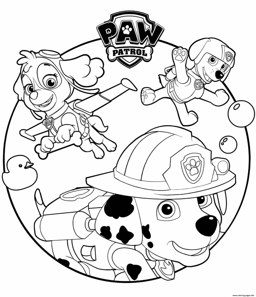 Skye Marshall And Rocky Paw Patrol Coloring Pages Printable