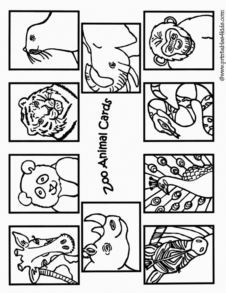 Zoo Coloring Pages Free Printable