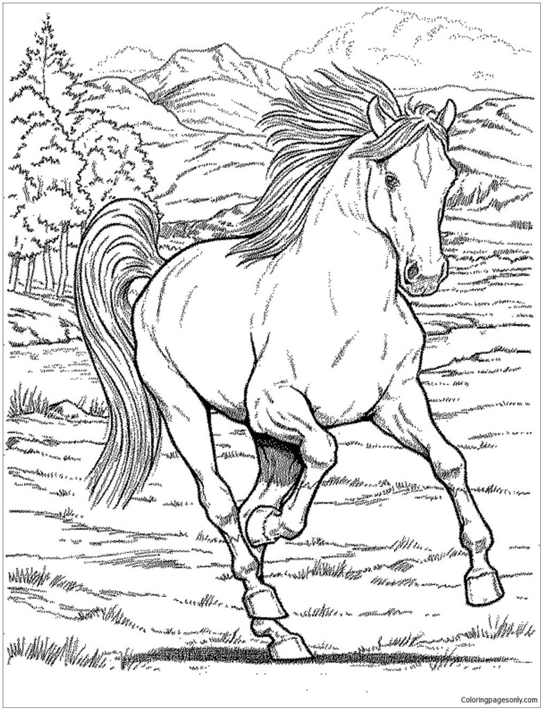 Adult Coloring Pages Printable Horse Beryren