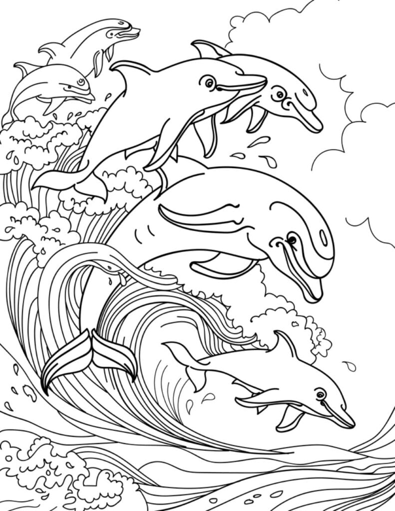 Dolphin Colouring Pages Free Printable