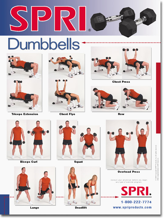 Dumbbell Exercise Chart Pdf Free Download Printable Vrogue co