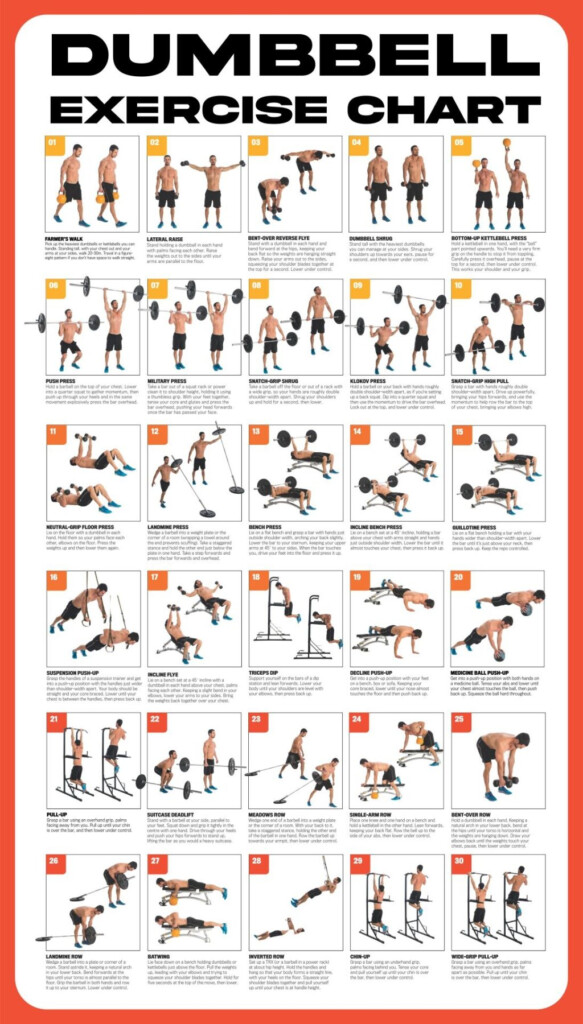 Dumbbell Exercise Chart Printable Free Printable Chart