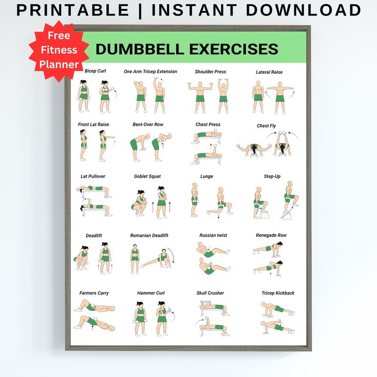 Dumbbell Workout Dumbbell Workout Chart Dumbbell Exercises Dumbbell 
