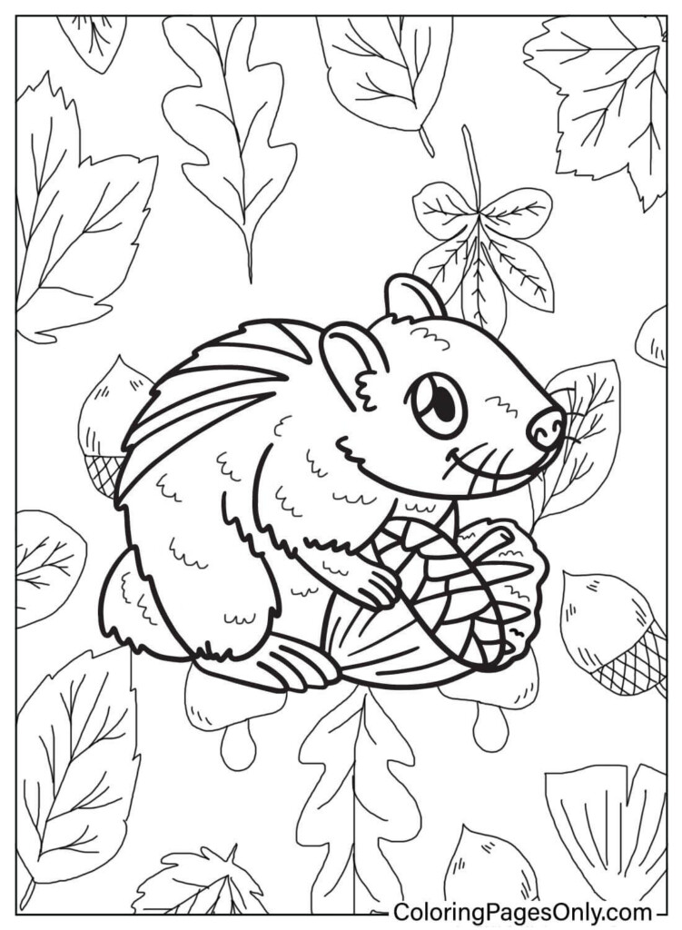 Free Chipmunk Coloring Page Free Printable Coloring Pages