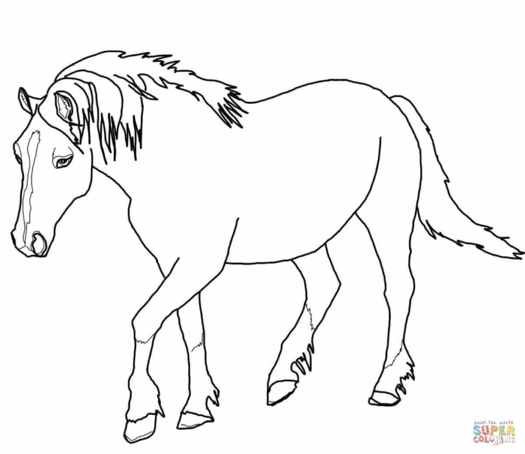 Free Coloring Pages Printable Horse Printable Online