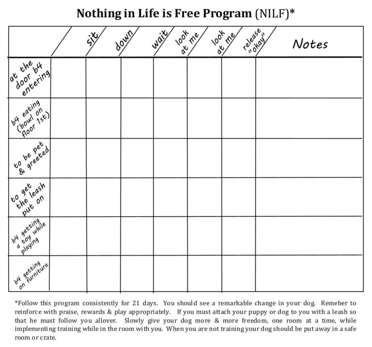 Free Printable Dog Training Worksheets Printable Worksheets