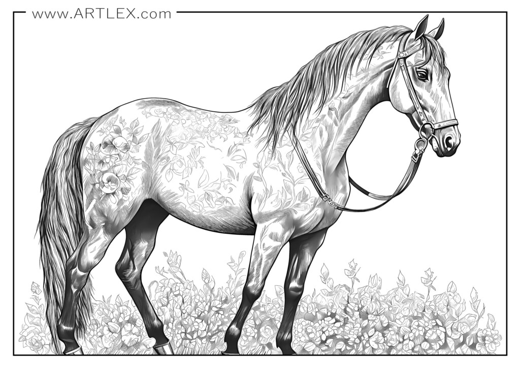 Free Printable Realistic Horse Coloring Pages Download Free Printable 