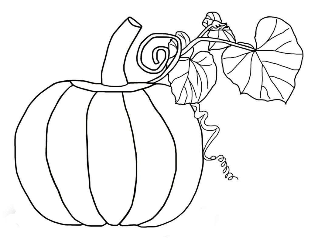Free Pumpkin Printables FREE Printable A Z