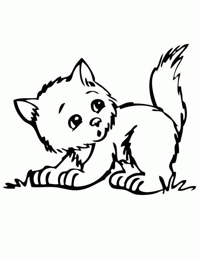 Kitten Coloring Pages Best Coloring Pages For Kids