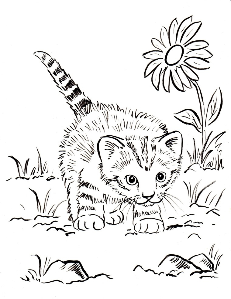 Kitten Coloring Pages Best Coloring Pages For Kids