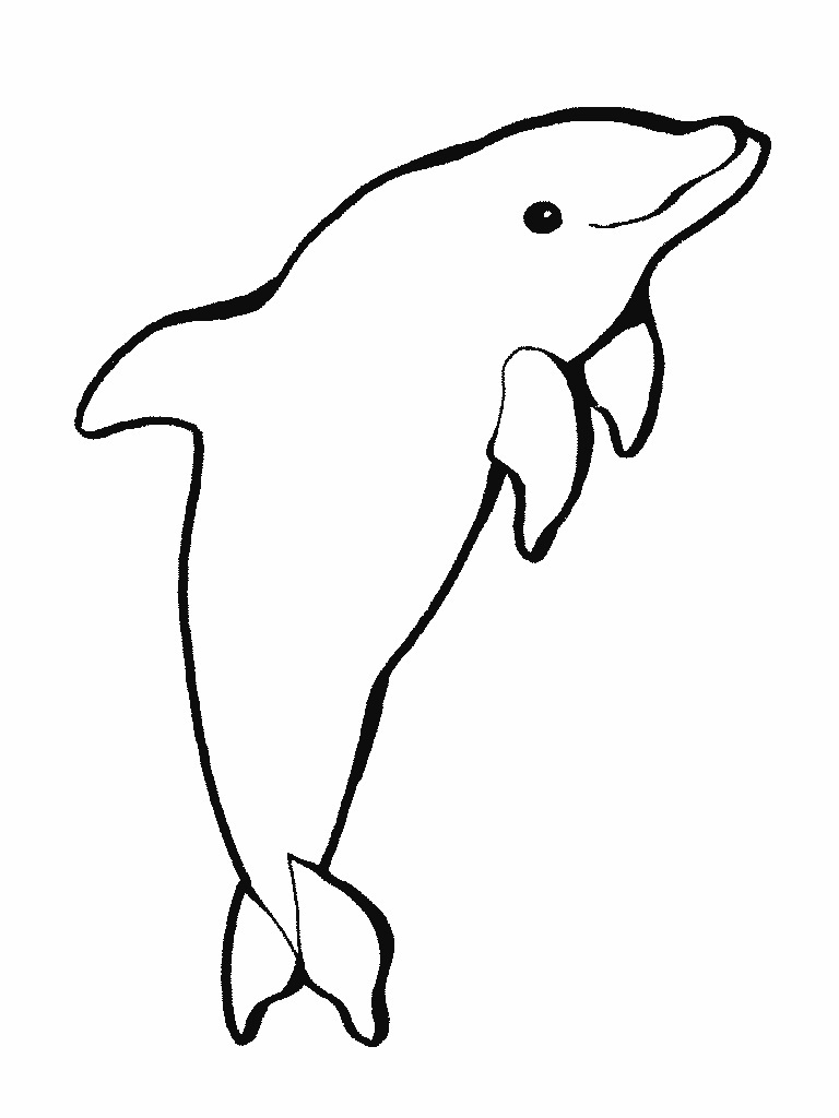 Printable Dolphin Coloring Pages ColoringMe