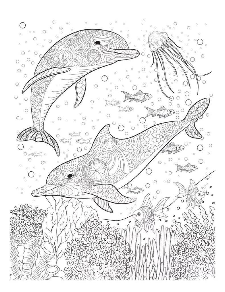 Printable Dolphin Colouring Pages Printable Free Templates