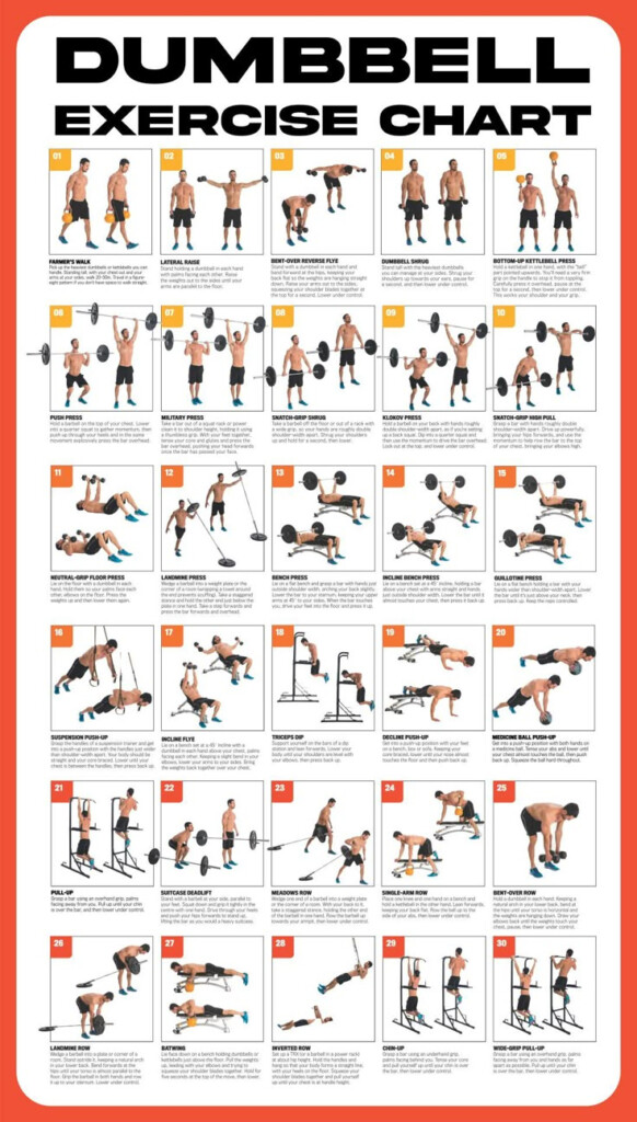Printable Dumbbell Exercise Chart Dumbbell Workout Gym Workout Chart 