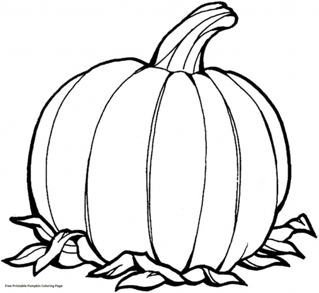 Pumpkin Outline Printable Free Download On ClipArtMag